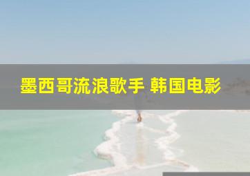 墨西哥流浪歌手 韩国电影